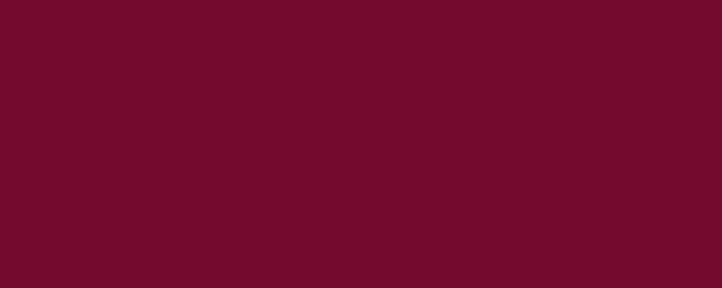 Maroon button for PRE-DENTISTRY